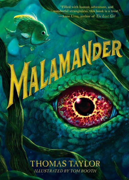 Image for event: Virtual: Reading Buddy Book Club (Ages 7&ndash;11): &quot;Malamander&quot;
