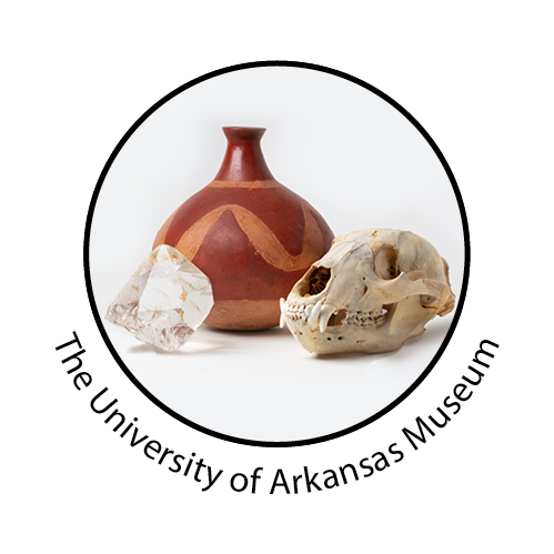 Image for event: Museum in the Library: Shells